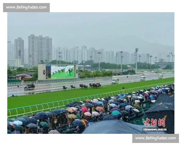 香港新赛马季鸣锣开跑 科技与传统共启速度盛宴